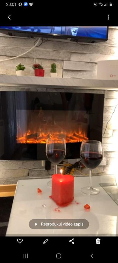 Lux Apartman Ss Zlatibor Vila Pekovic Green 外观 照片