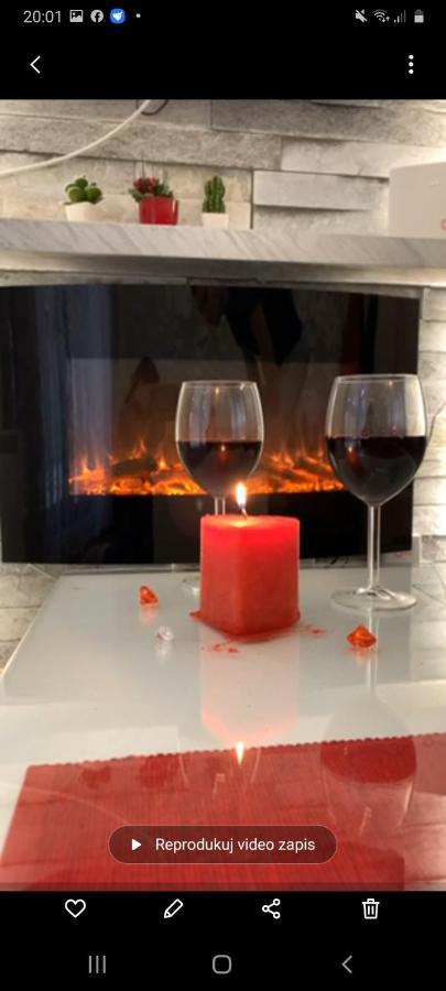 Lux Apartman Ss Zlatibor Vila Pekovic Green 外观 照片